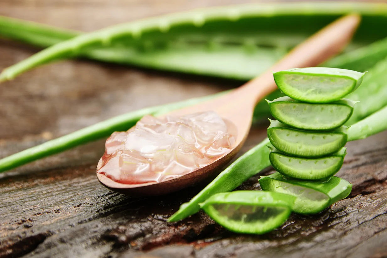 Aloe Vera For Your Skin: The Umpteen Benefits + How To Use – SkinKraft
