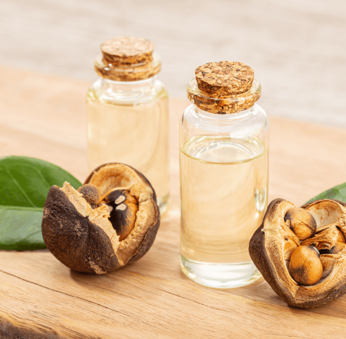 The Beauty Benefits of Camellia Oil