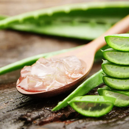 What’s In Your Skincare – Aloe Vera Extract