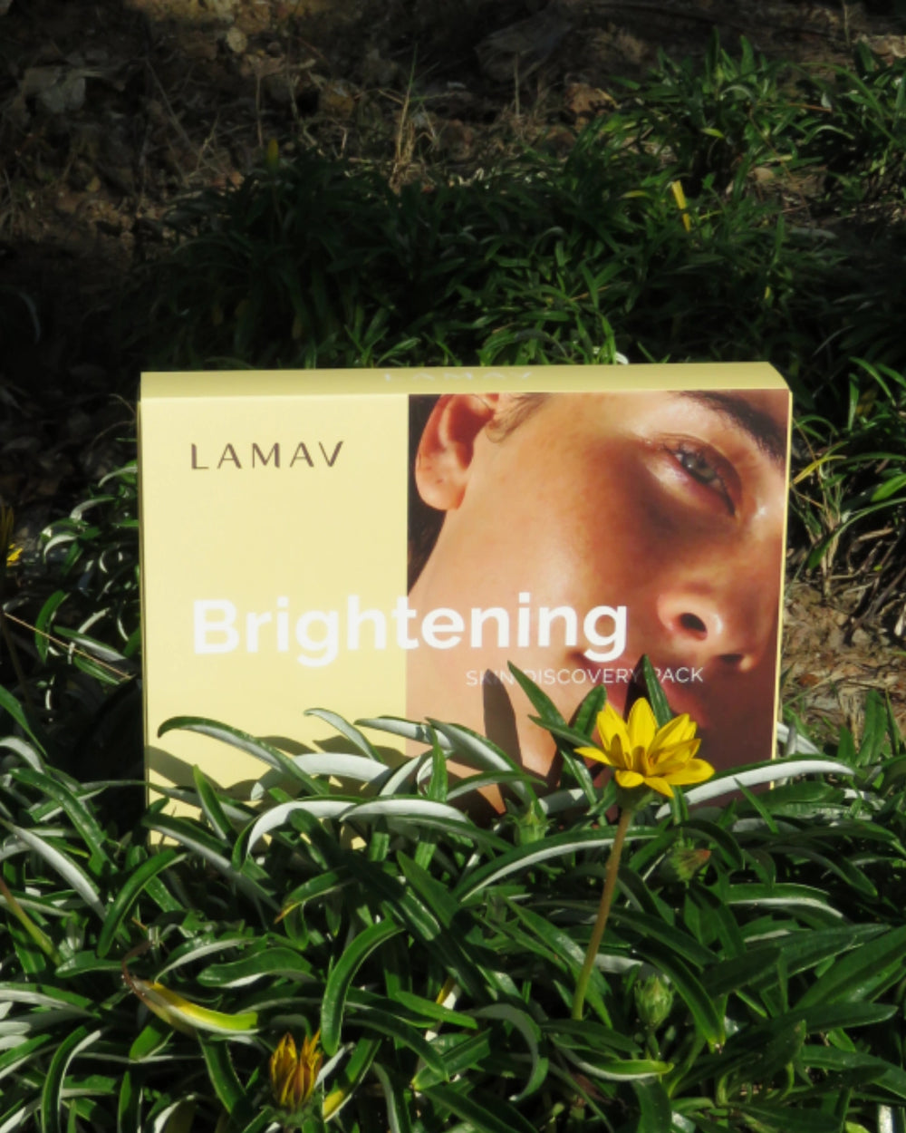 Brightening Discovery Pack by LAMAV — closed box and four products on a wavy white stone | visibly reduces dark spots.