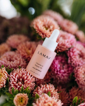 Vitamin A Repair Oil by LAMAV — bottle nestled among pink chrysanthemums | botanical antioxidant serum